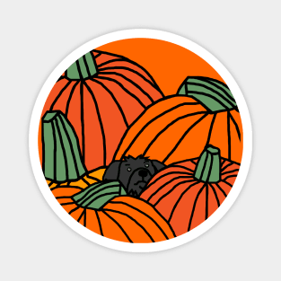 Pumpkin Patch with Cute Dog Ready for Halloween Magnet